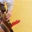 Handyman repair service in Tacoma, WA for home fixes and improvements