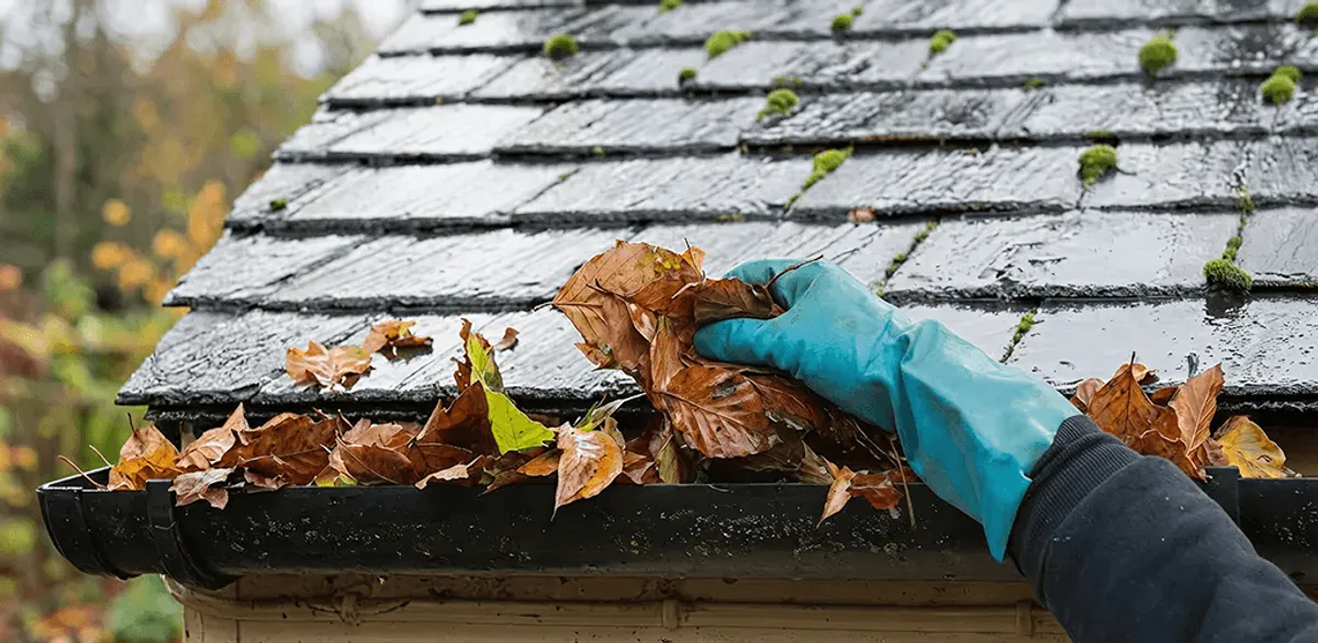 Gutter cleaning technician clearing wet leaves from roof gutters in Tacoma, WA